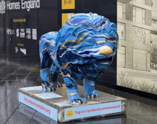 Tidal Lion Pride of Yorkshire